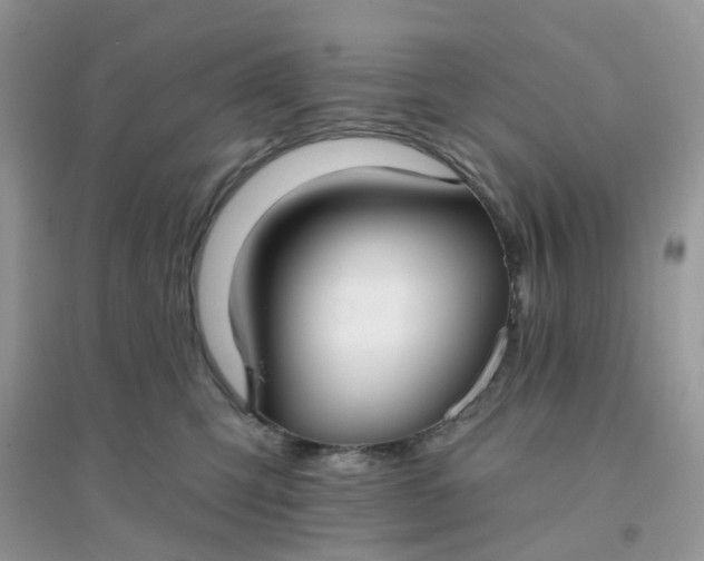 X0000096150423200802011237