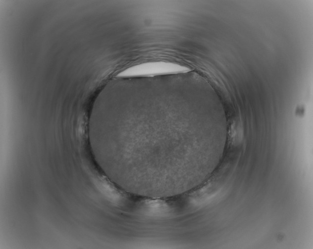 X0000096150424200802011237