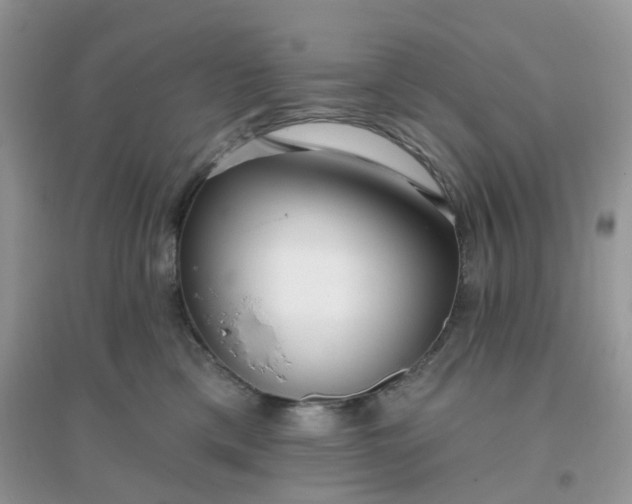 X0000096150425200802011237