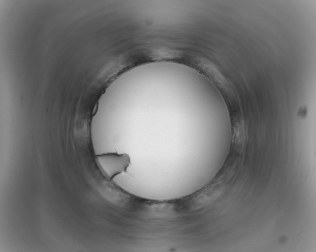 X0000096150426200802011237