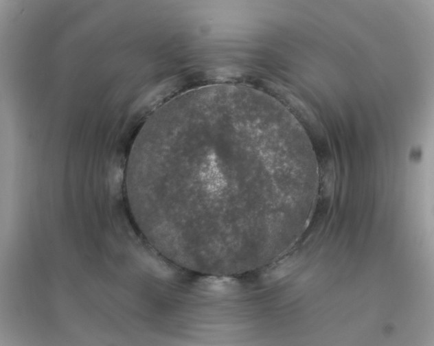 X0000096150427200802011237