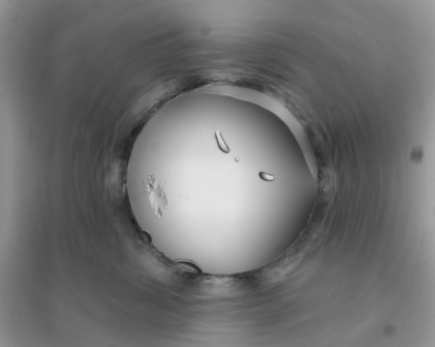 X0000096150428200802011237