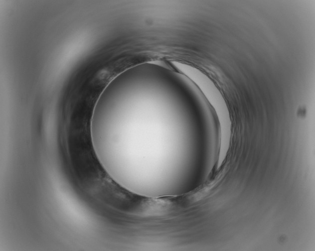 X0000096150429200802011237