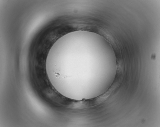X0000096150430200802011237