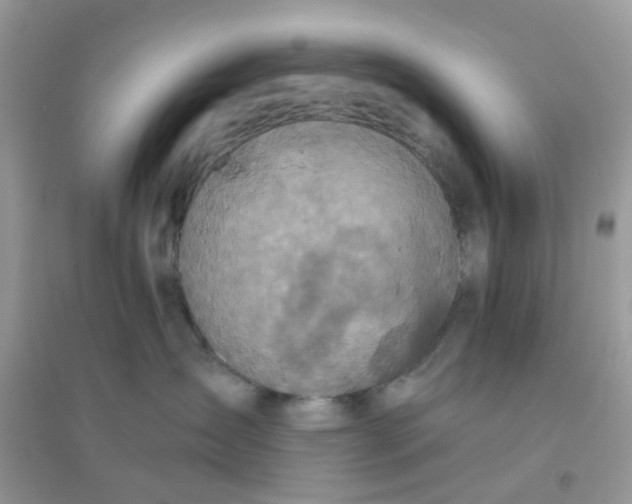 X0000096150431200802011237