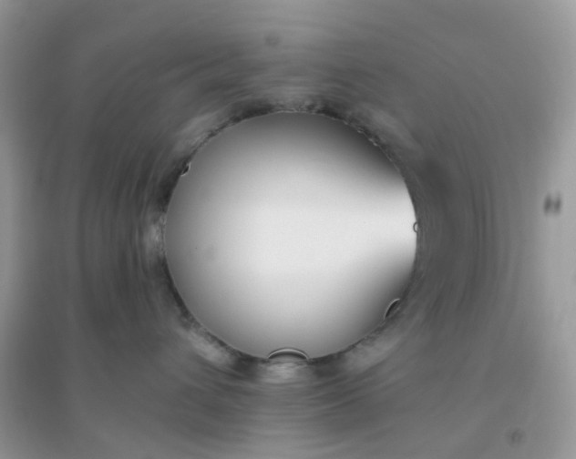 X0000096150432200802011237