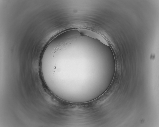X0000096150434200802011236