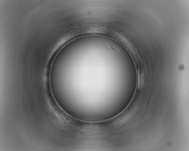 X0000096150435200802011236