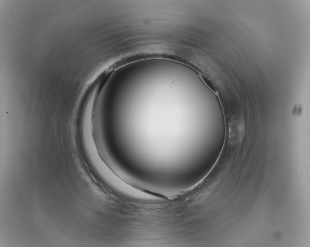 X0000096150436200802011236