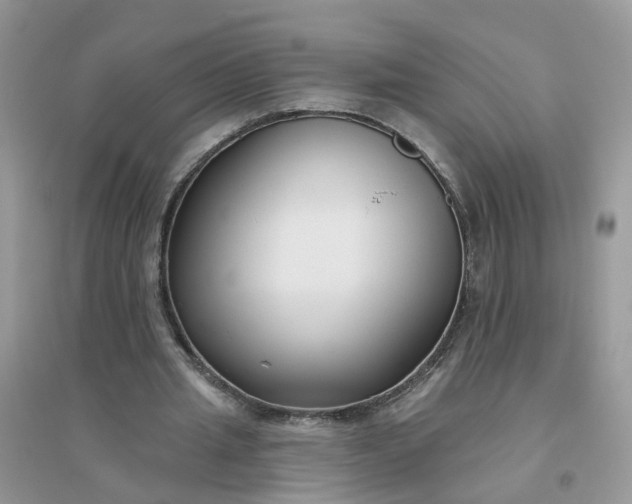 X0000096150437200802011236