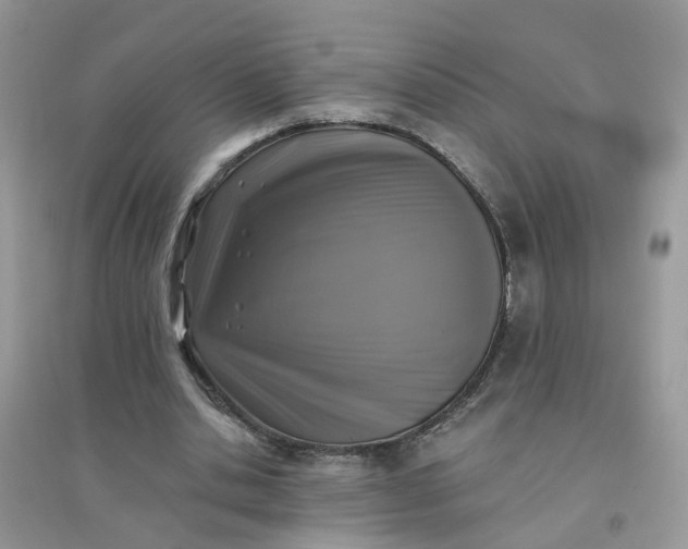 X0000096150438200802011236