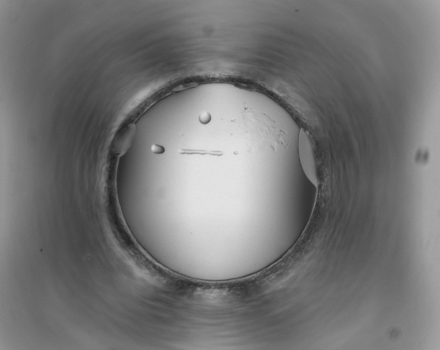 X0000096150440200802011236