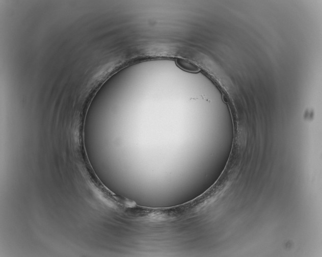 X0000096150441200802011236