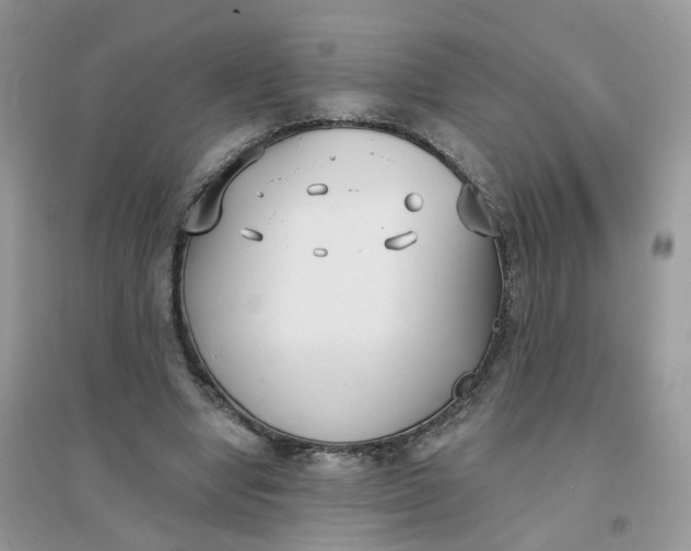 X0000096150442200802011236