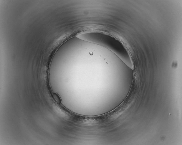 X0000096150445200802011236