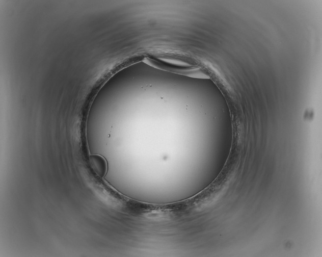 X0000096150447200802011236