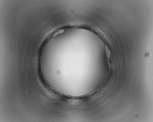 X0000096150448200802011236