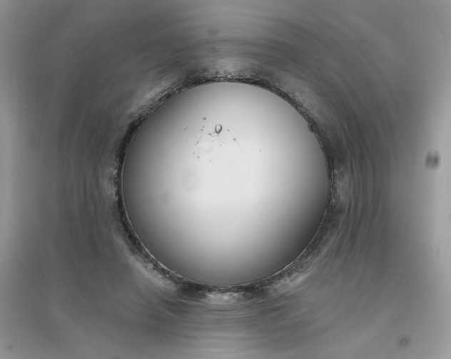 X0000096150450200802011237