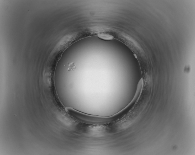X0000096150452200802011237
