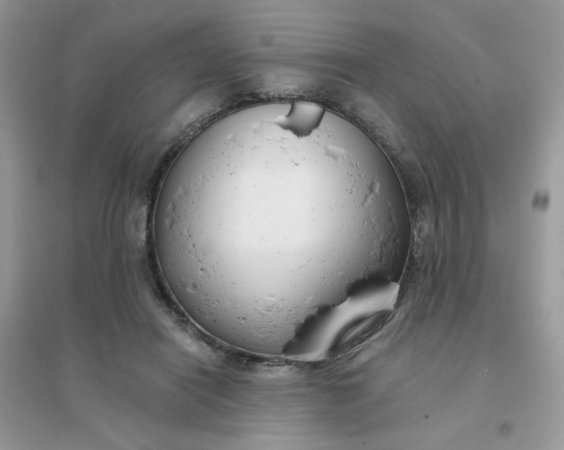 X0000096150454200802011237
