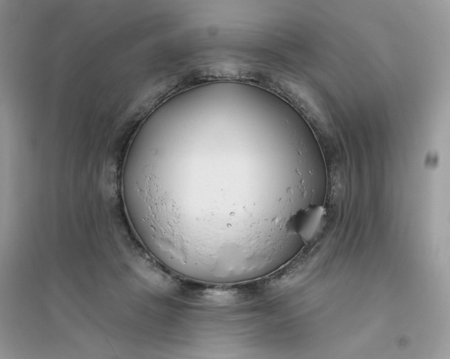 X0000096150457200802011237