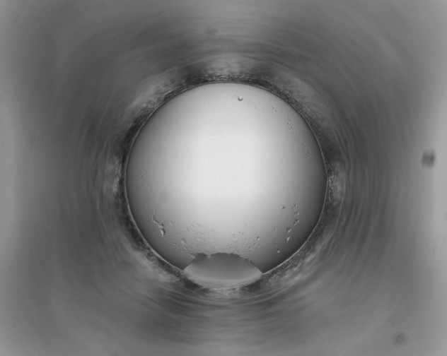 X0000096150458200802011237