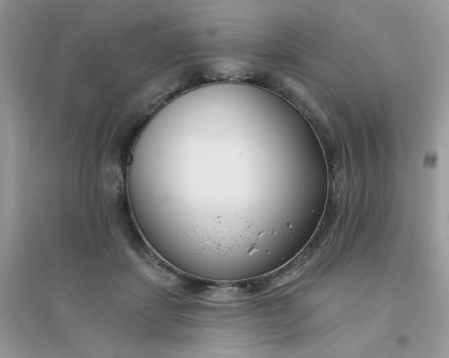 X0000096150459200802011237