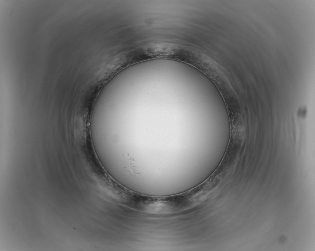 X0000096150460200802011237