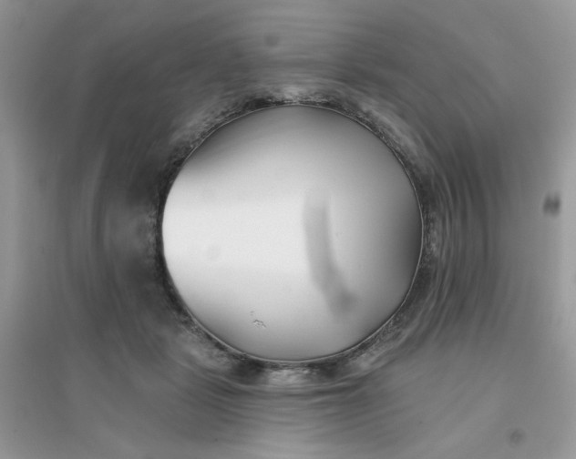 X0000096150461200802011237