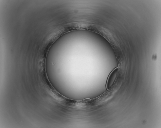 X0000096150462200802011237