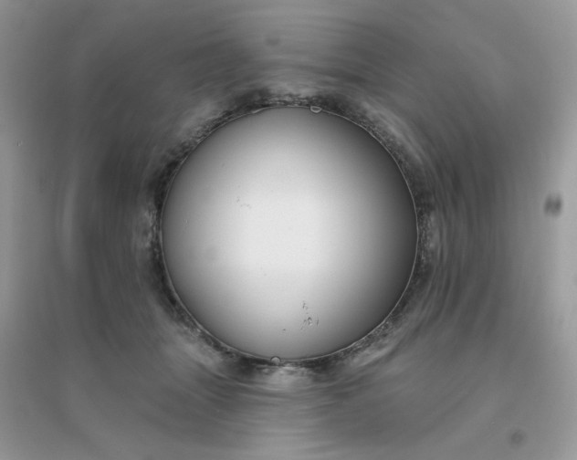X0000096150463200802011237