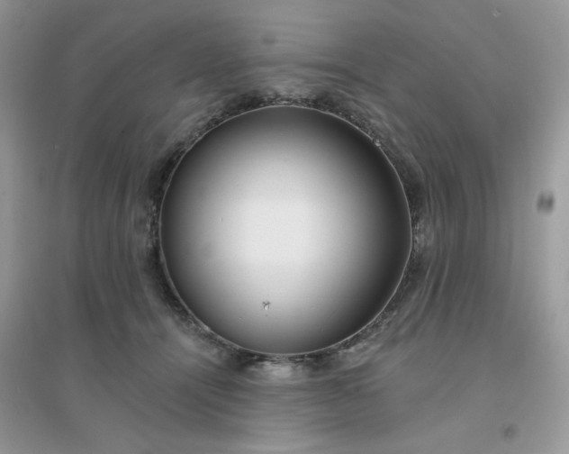 X0000096150464200802011237