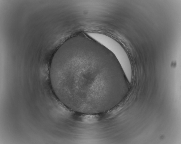 X0000096150465200802011237