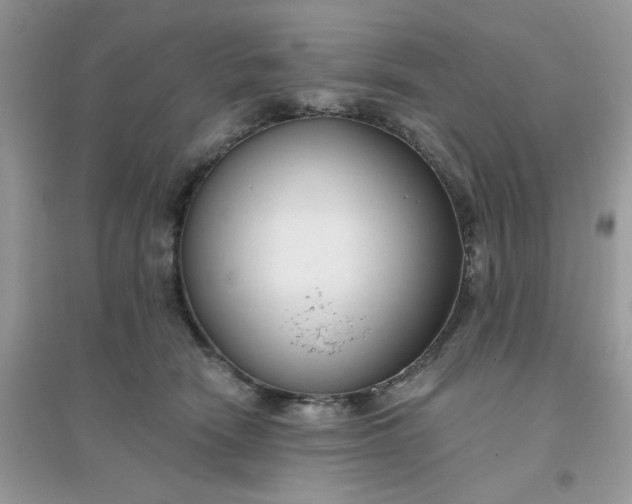 X0000096150466200802011237