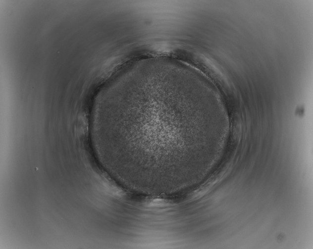 X0000096150467200802011237