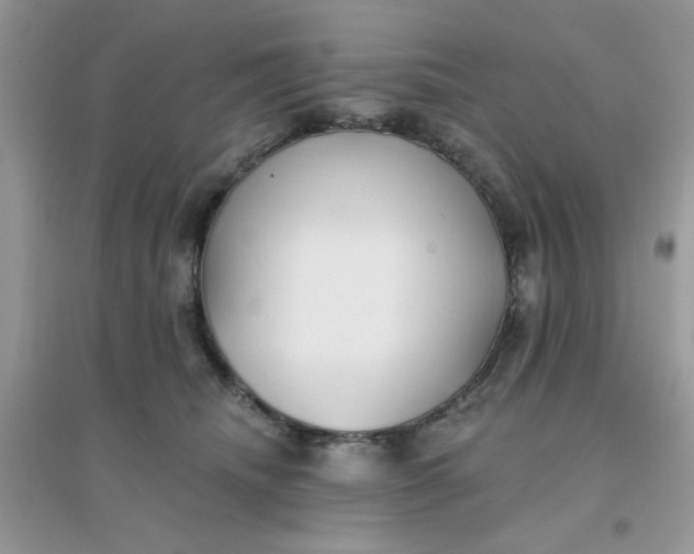 X0000096150468200802011237