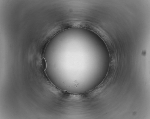 X0000096150469200802011237