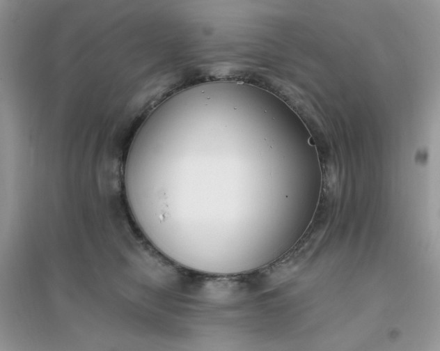 X0000096150470200802011237