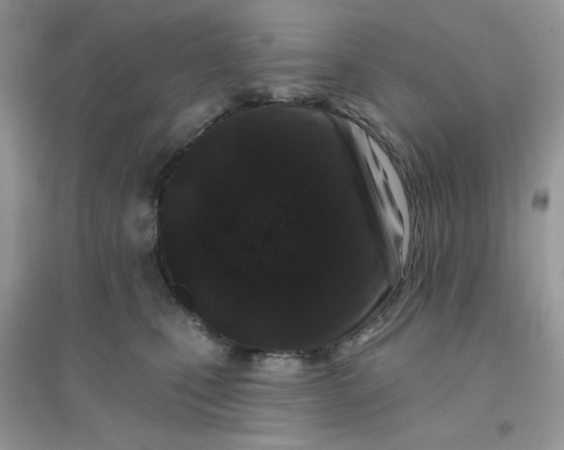 X0000096150471200802011237