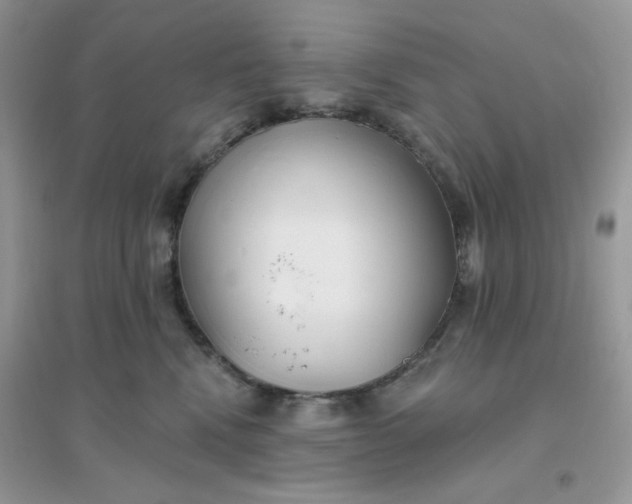 X0000096150472200802011237