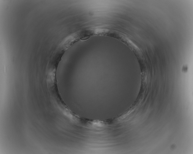 X0000096150475200802011237