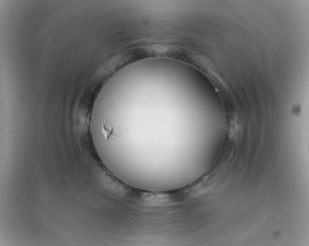 X0000096150476200802011237