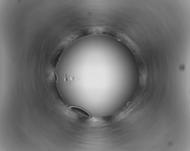 X0000096150477200802011237