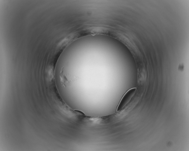 X0000096150478200802011237