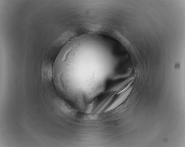 X0000096150479200802011237