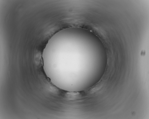 X0000096150480200802011237