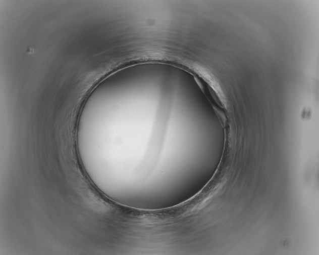 X0000096150481200802011236