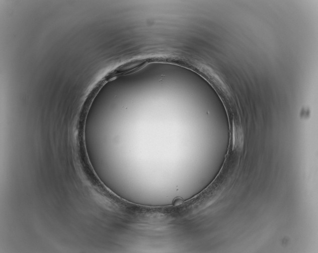 X0000096150483200802011236