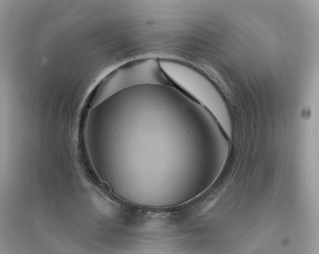 X0000096150484200802011236