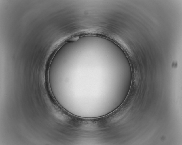 X0000096150486200802011236